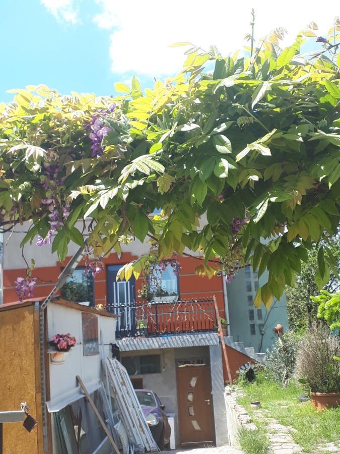 Sarkany Lak Diosd Exterior photo